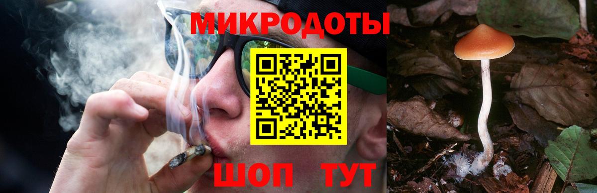 Галлюциногенные грибы GOLDEN TEACHER  Вход с VPN  Хасавюрт 
